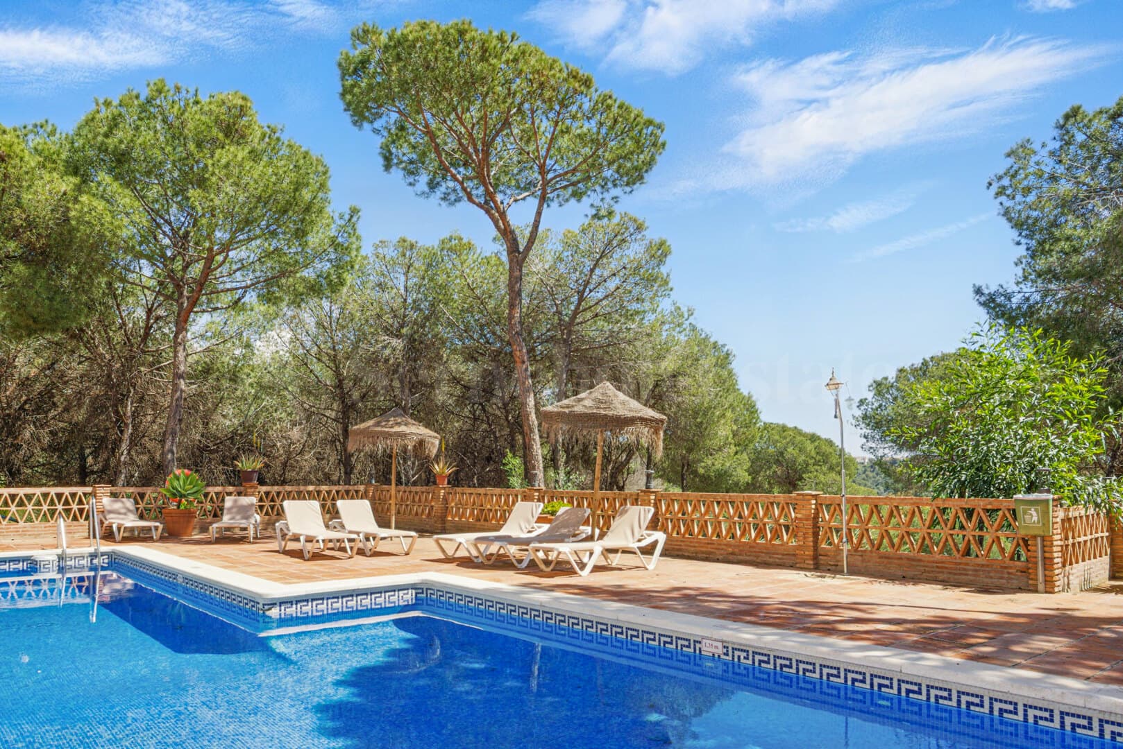 Apartment in Nueva Andalucia