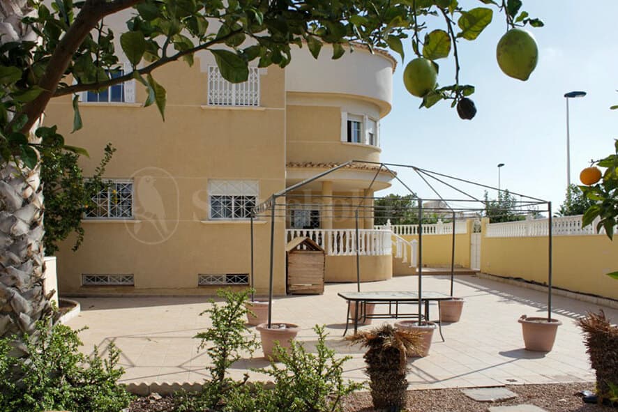 House in Torrevieja