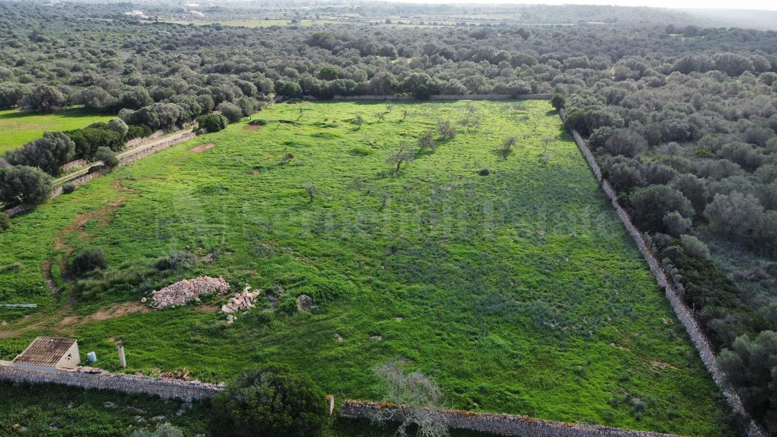 Land in Ses Salines