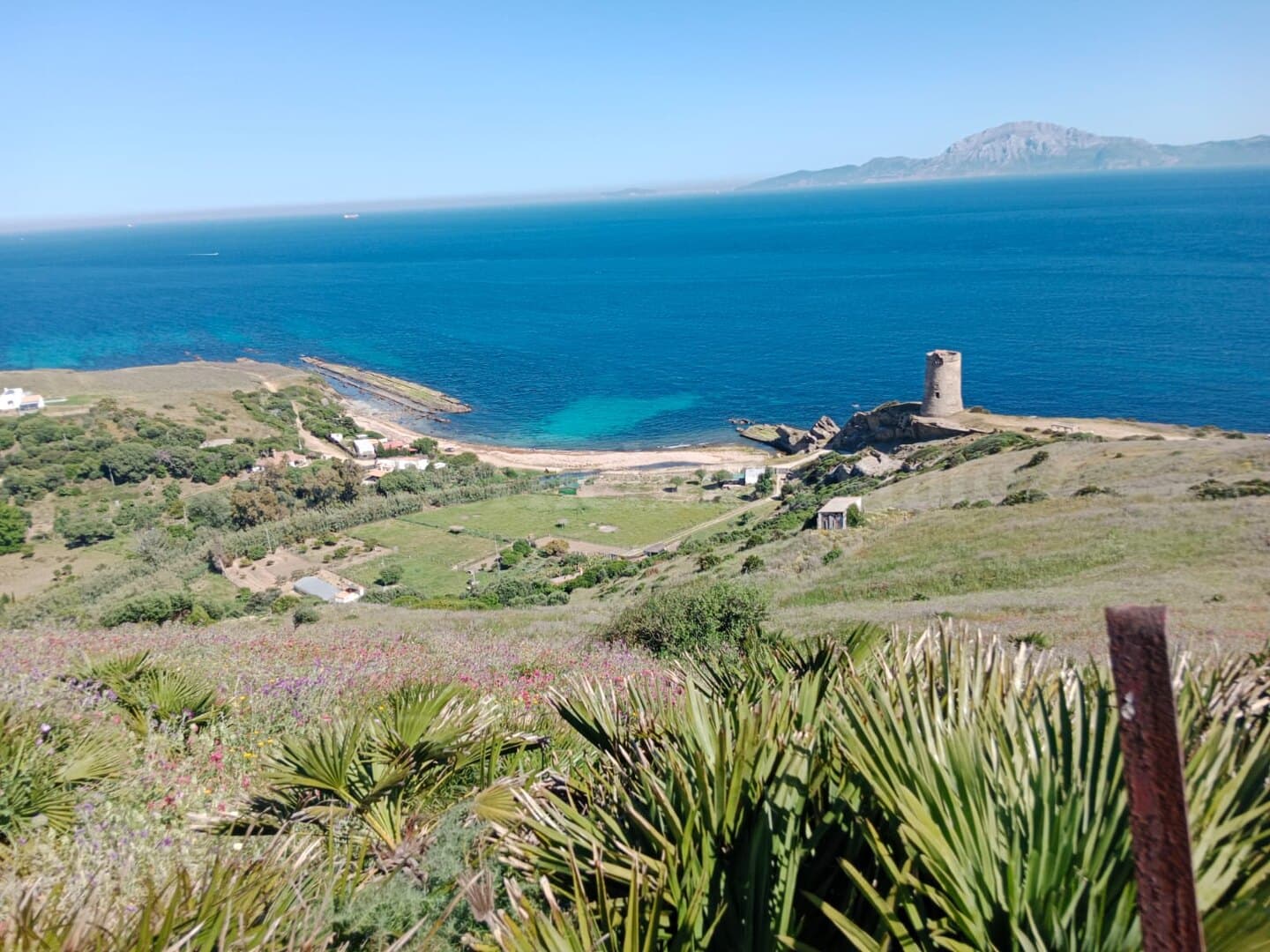 Land in Tarifa
