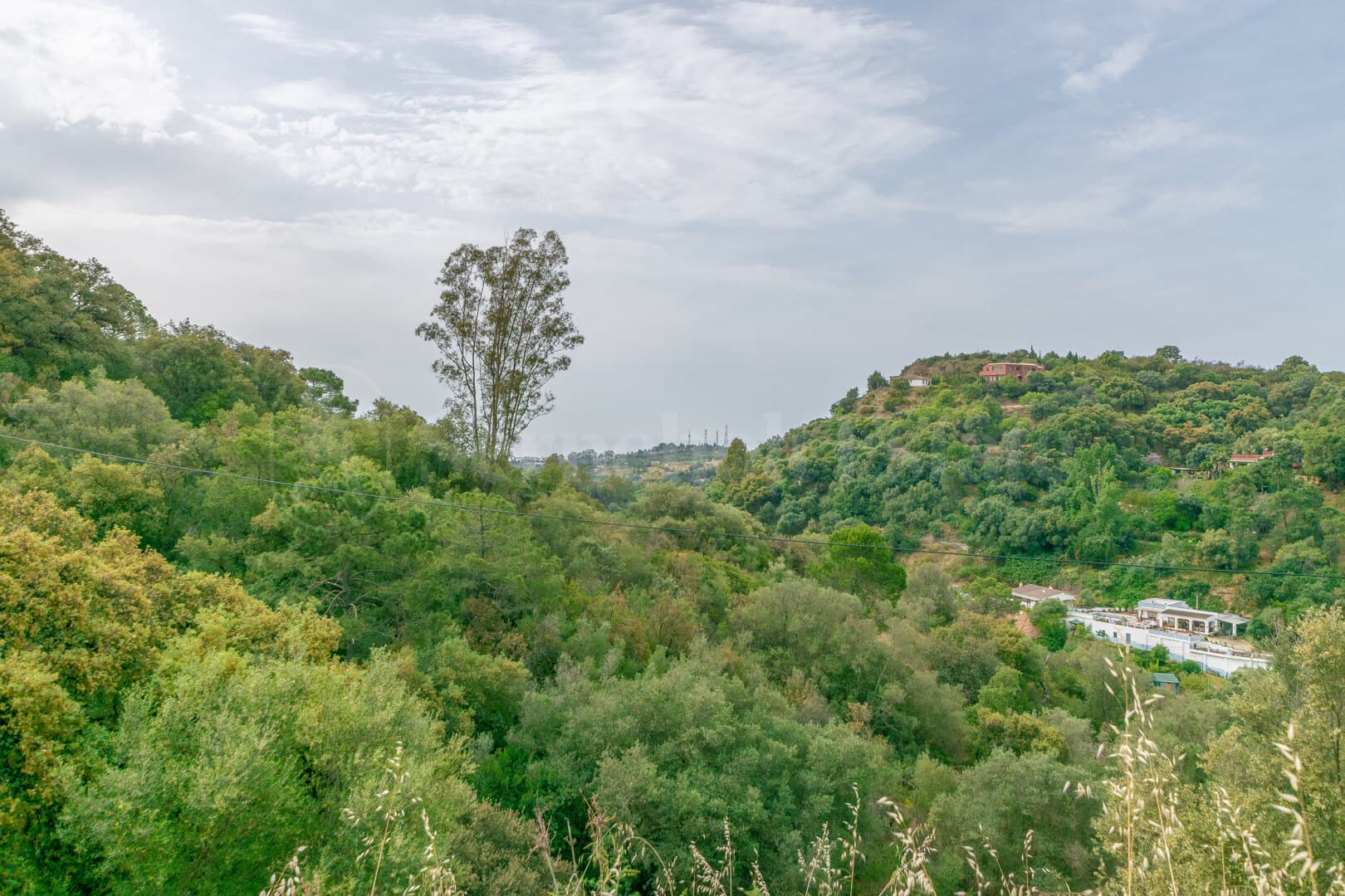 Land in Estepona East