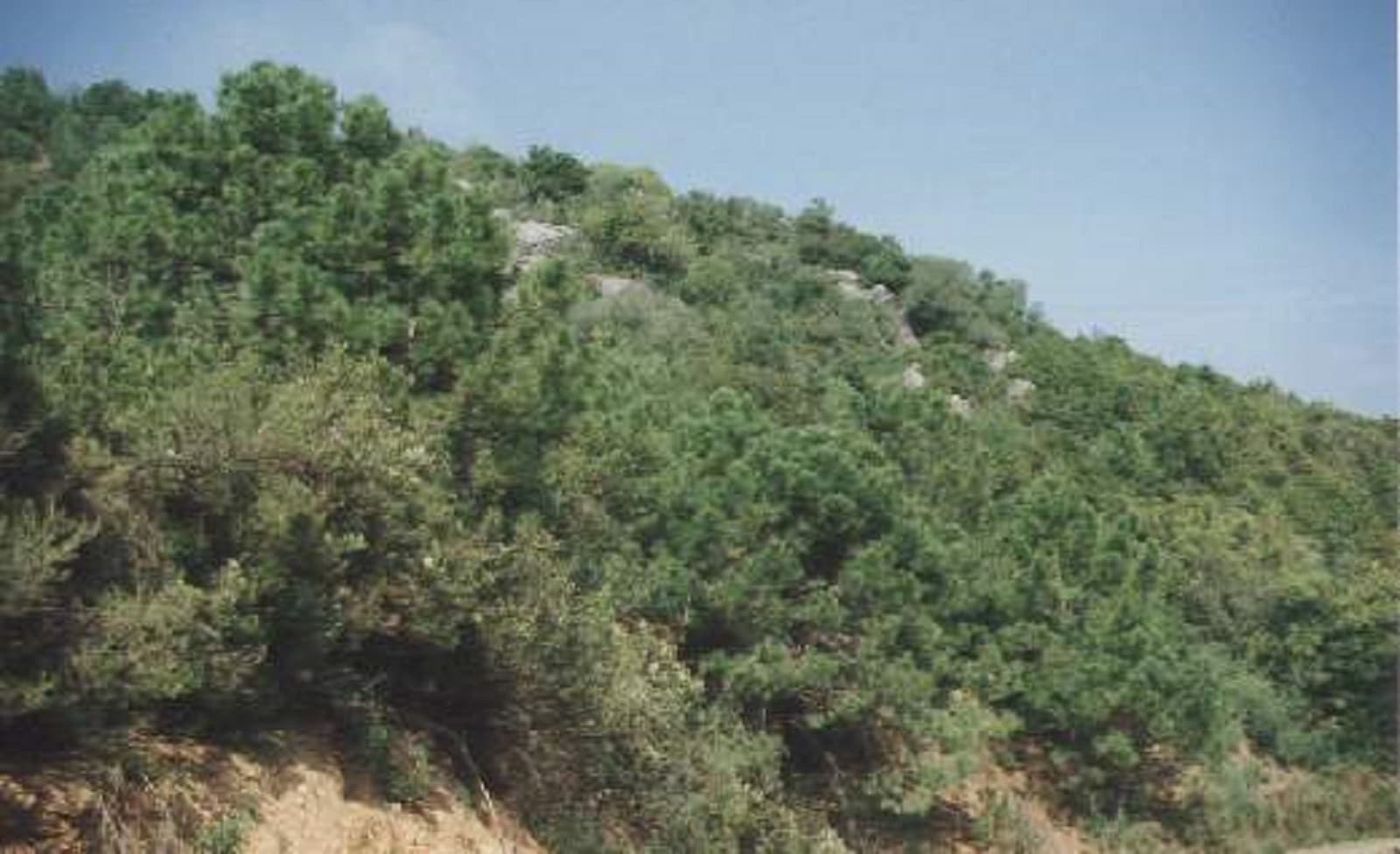 Land in El Velerin